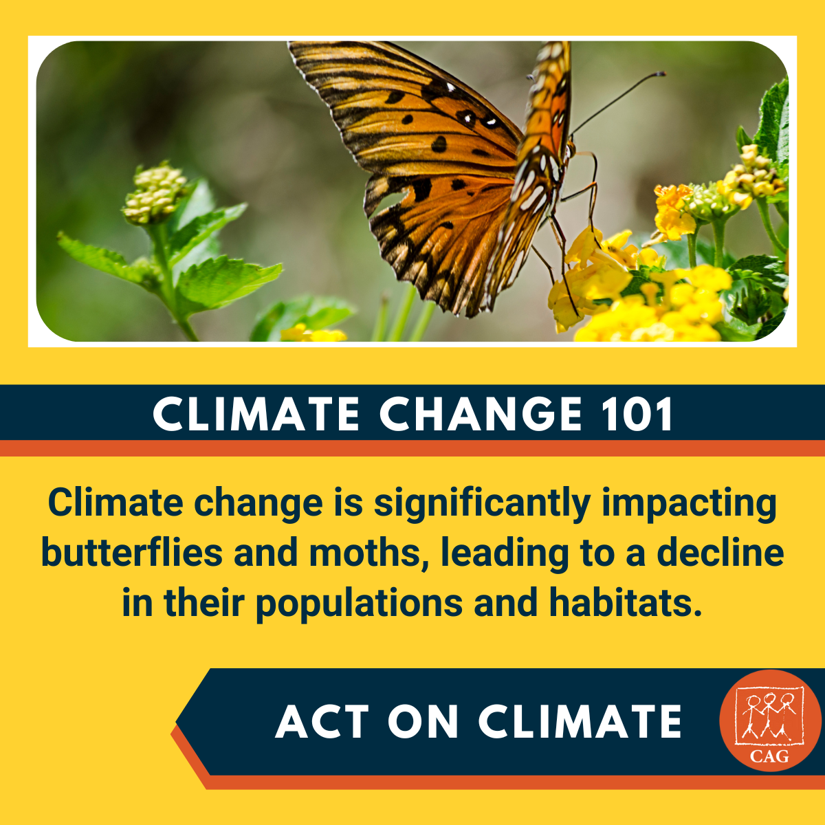 Climate Change - Impact on butterfly population | Climate Connection